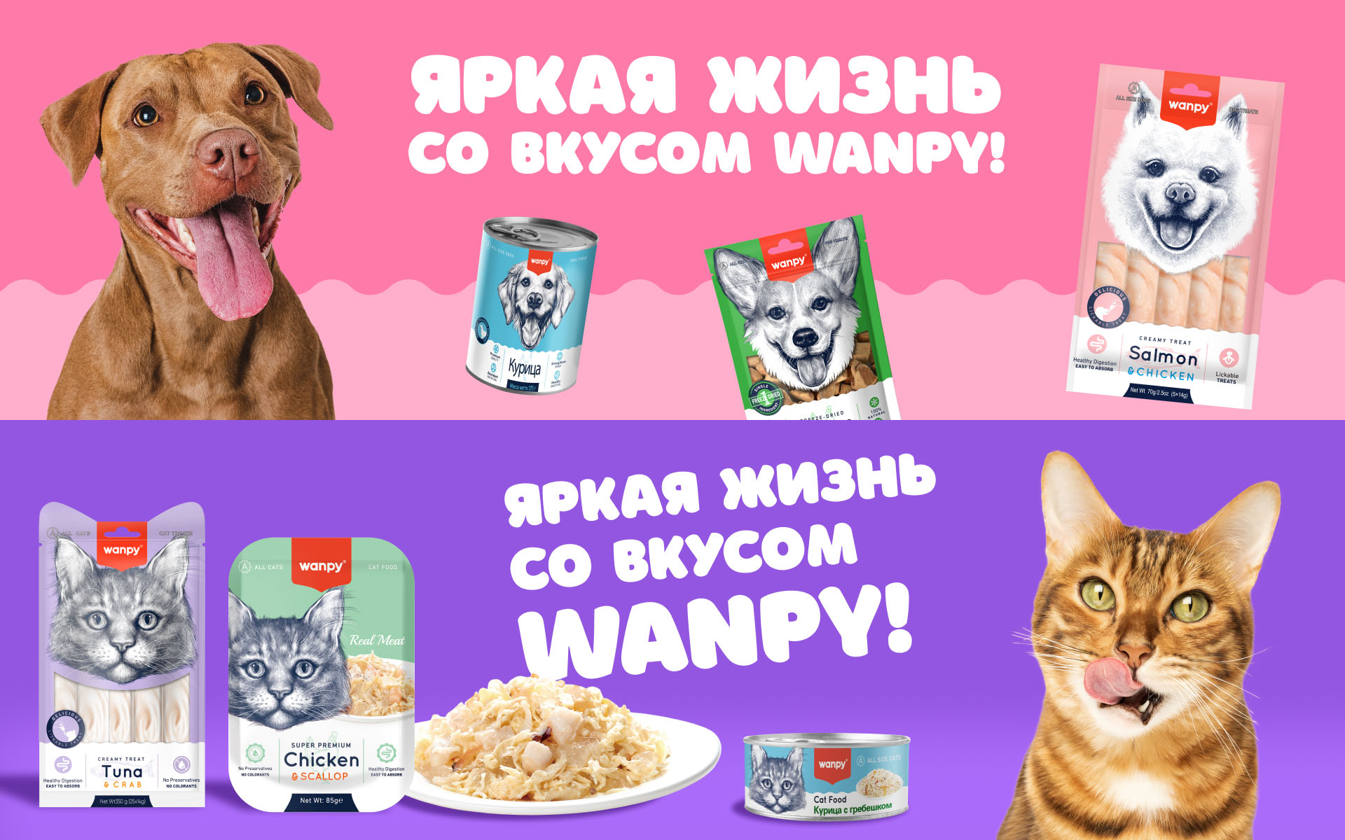 Wanpy