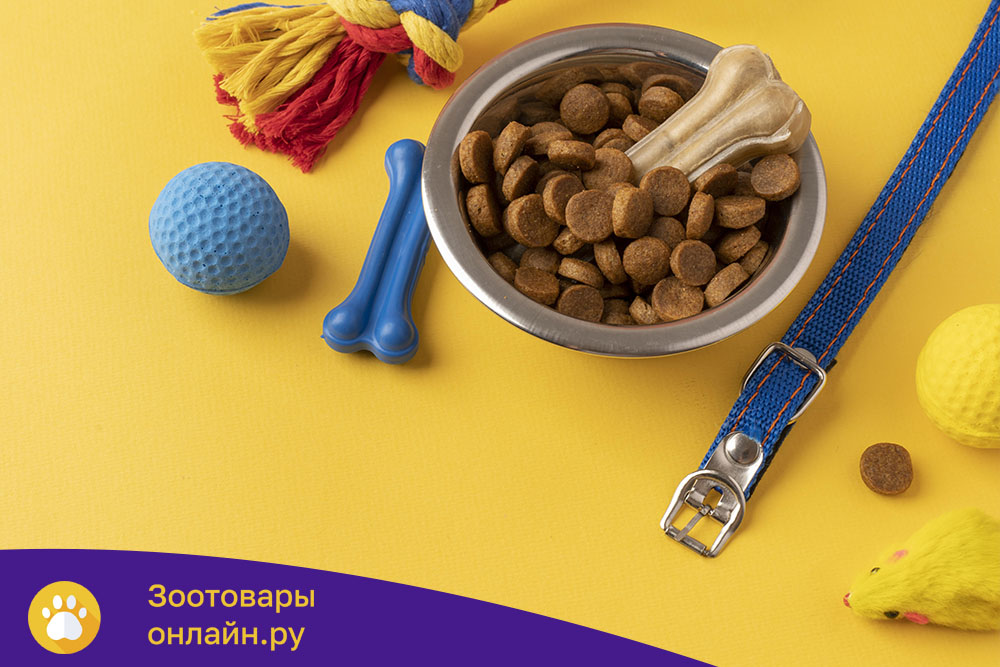 Полный гид: где купить качественные товары для животных в 